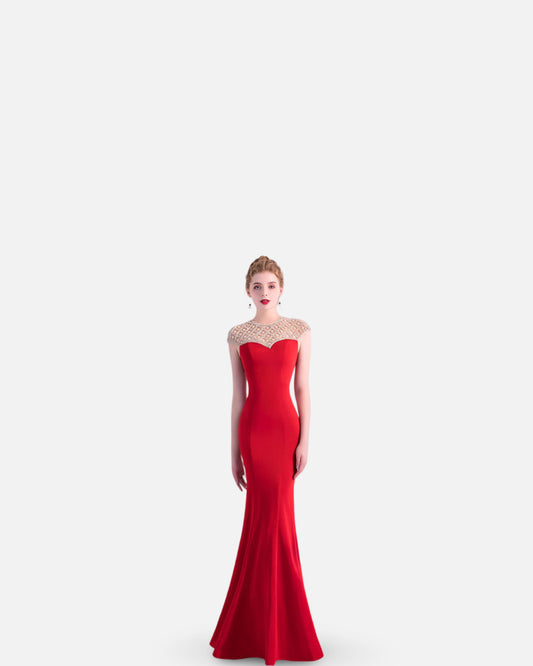 Fishtail Long Banquet Elegant Evening Dress