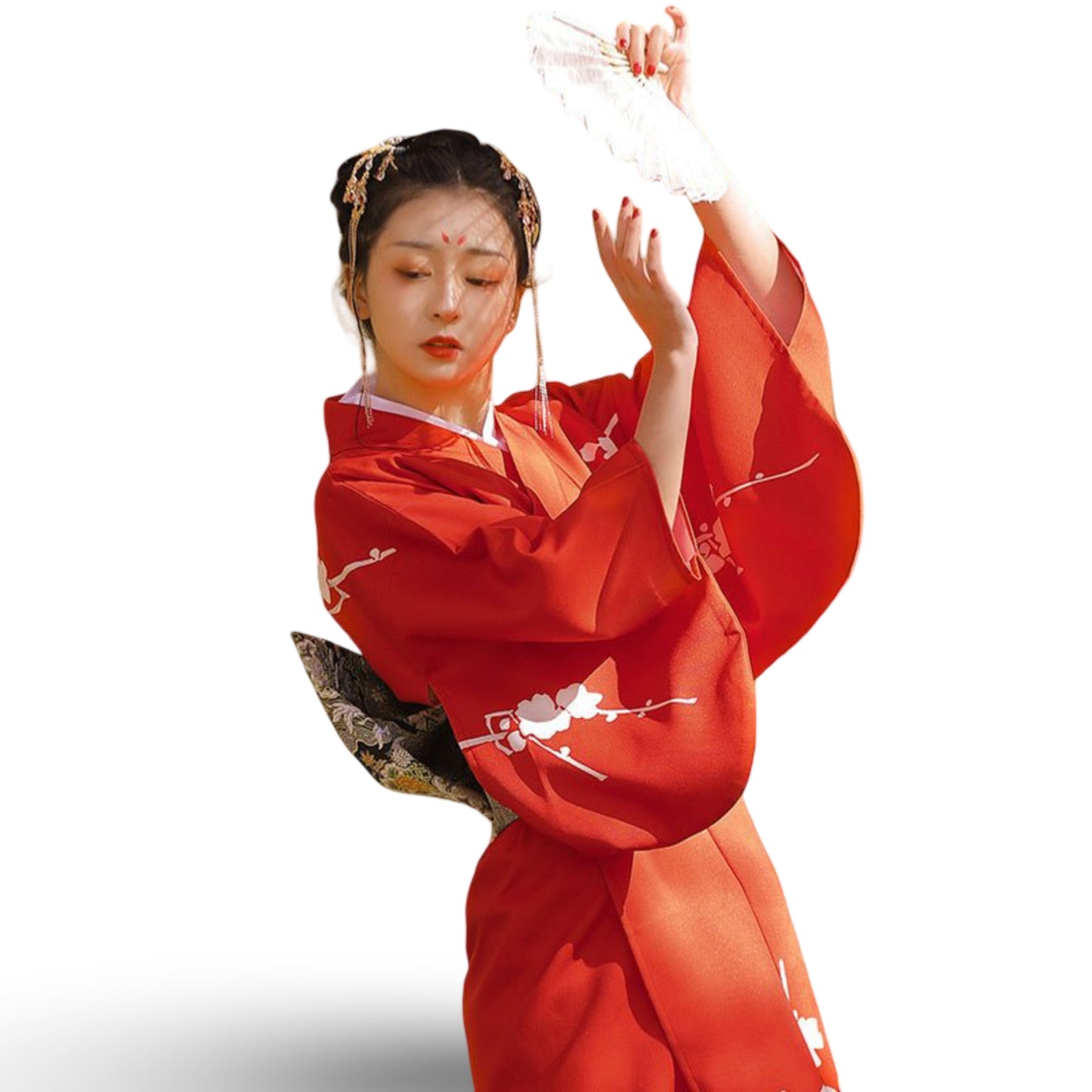 Japanese Traditional Kyoto Girls Annual Party Dress