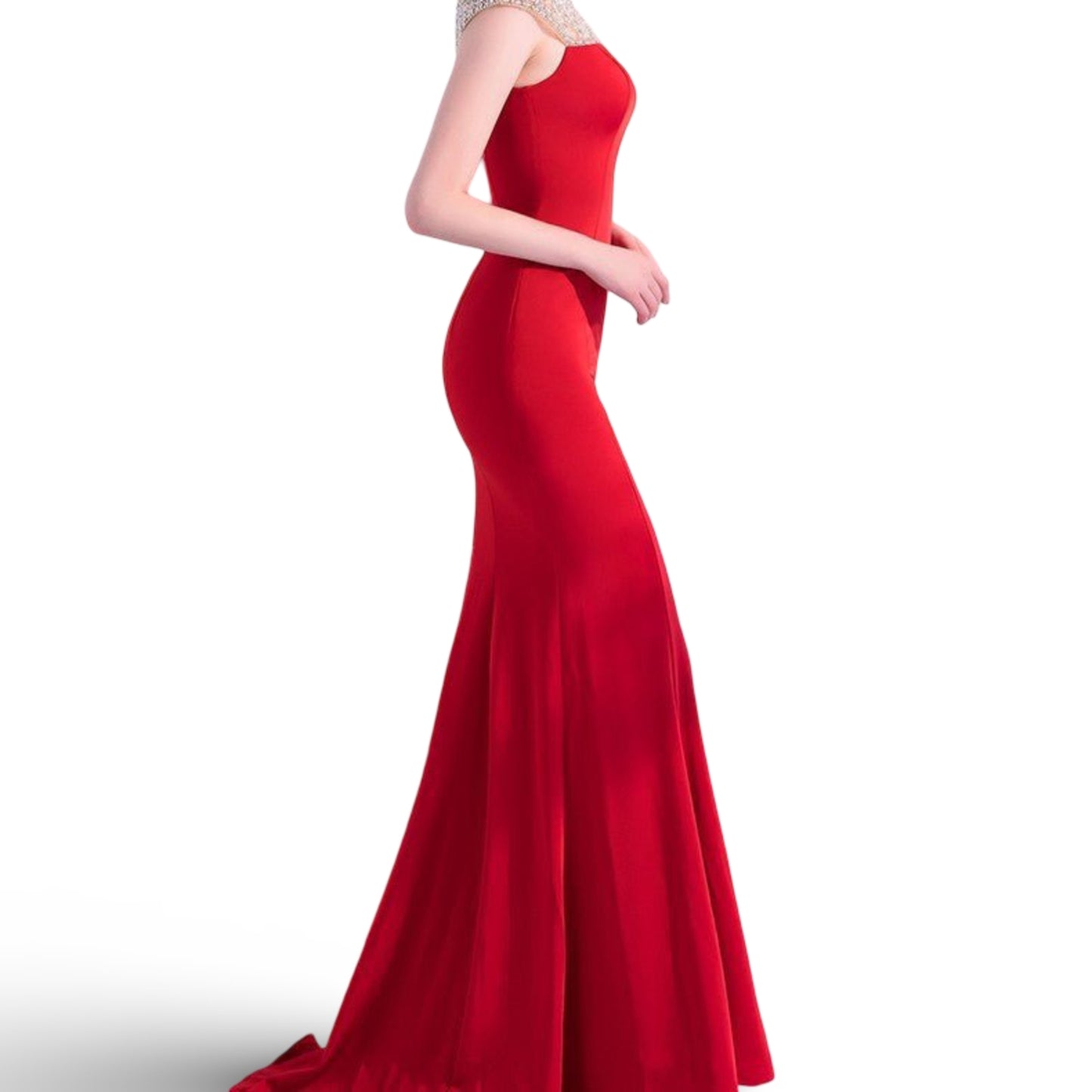 Fishtail Long Banquet Elegant Evening Dress